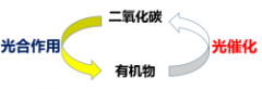 光氧催化除异味原理